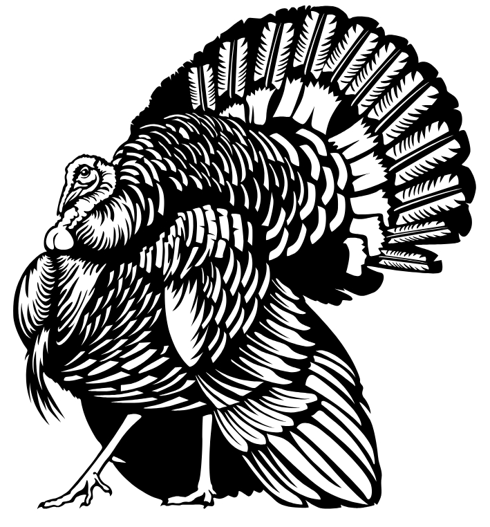 Fabrication project photo 12